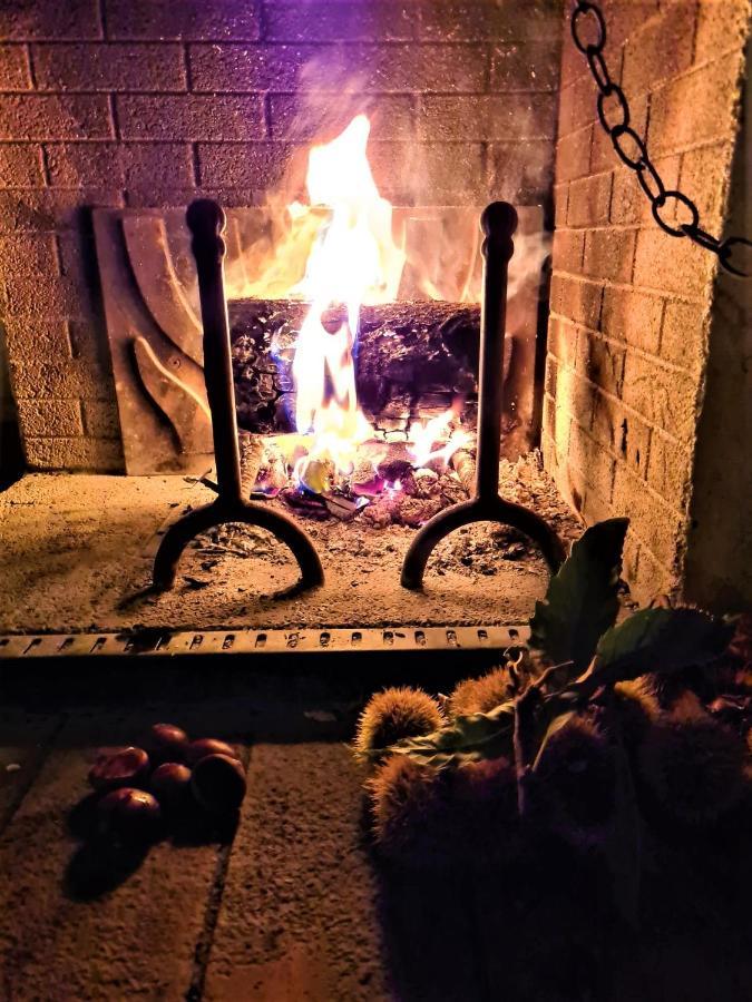 Incantevole Casa Sul Fiume, Relax E Natura Ai Piedi Della Alpi Apuane Massa  Zewnętrze zdjęcie
